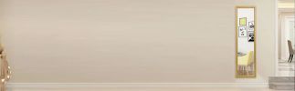 Full Length Mirror Door Mirror Full Body Dressing Mirror Wall Mounted Hanging for Dorm Home; 50&quot;x 14&quot;; Gold