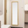 Full Length Mirror Door Mirror Full Body Dressing Mirror Wall Mounted Hanging for Dorm Home; 50&quot;x 14&quot;; Gold