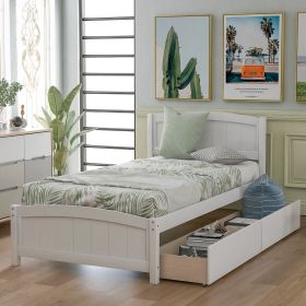 Twin size Platform Bed with Two Drawers (Color: White)
