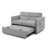 Loveseats Sofa Bed with Pull-out Bed;  Adjustable Back and Two Arm Pocket
