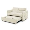 Loveseats Sofa Bed with Pull-out Bed;  Adjustable Back and Two Arm Pocket